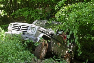  4x4 en el bosque 